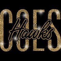 GLT95 GOLD GLITTER Thumbnail